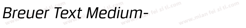 Breuer Text Medium字体转换
